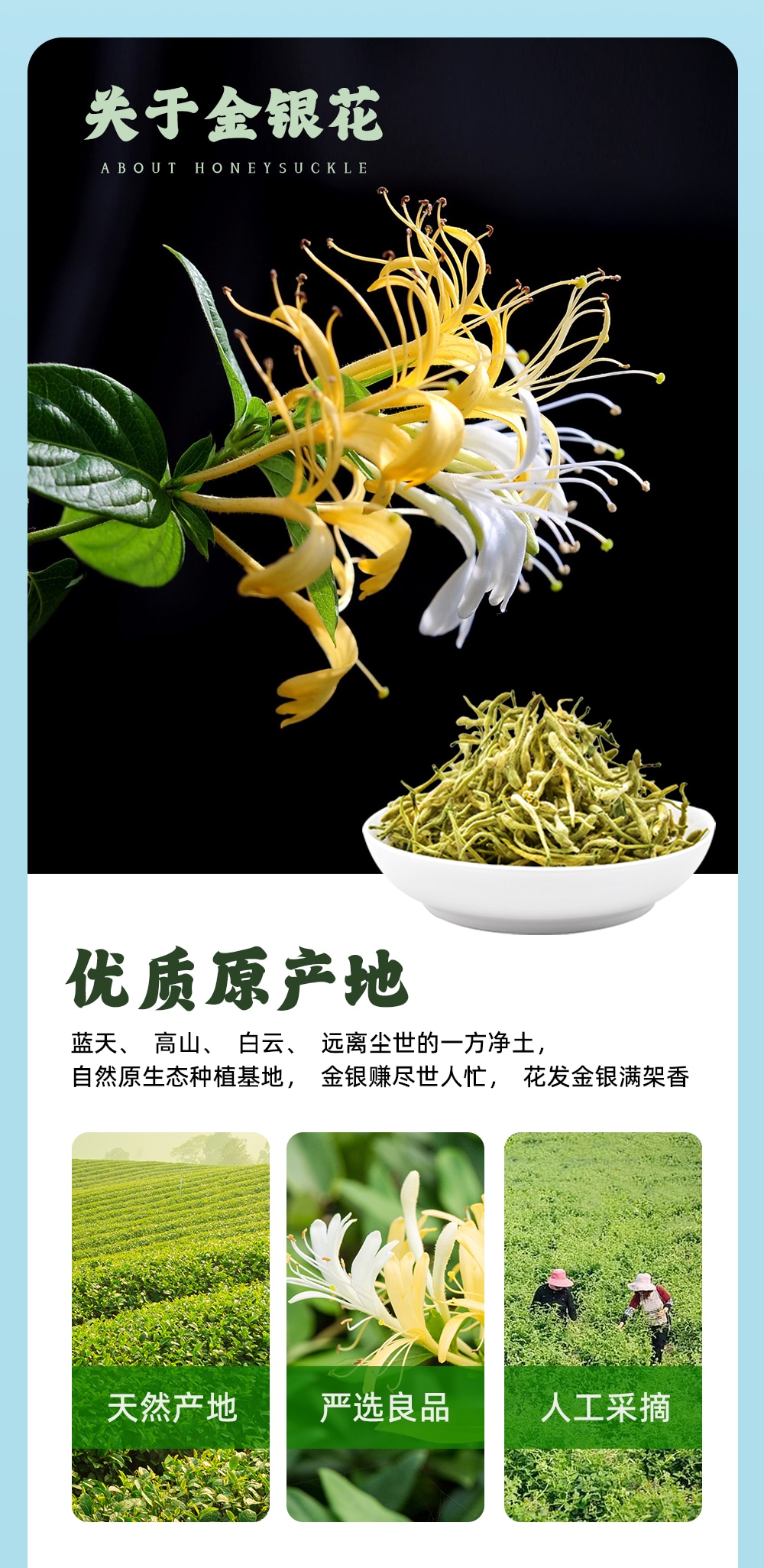 金銀花露410ml-詳情頁_06.jpg